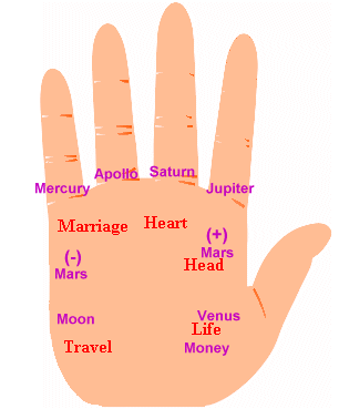 Palmistry.Net Your Major Lines