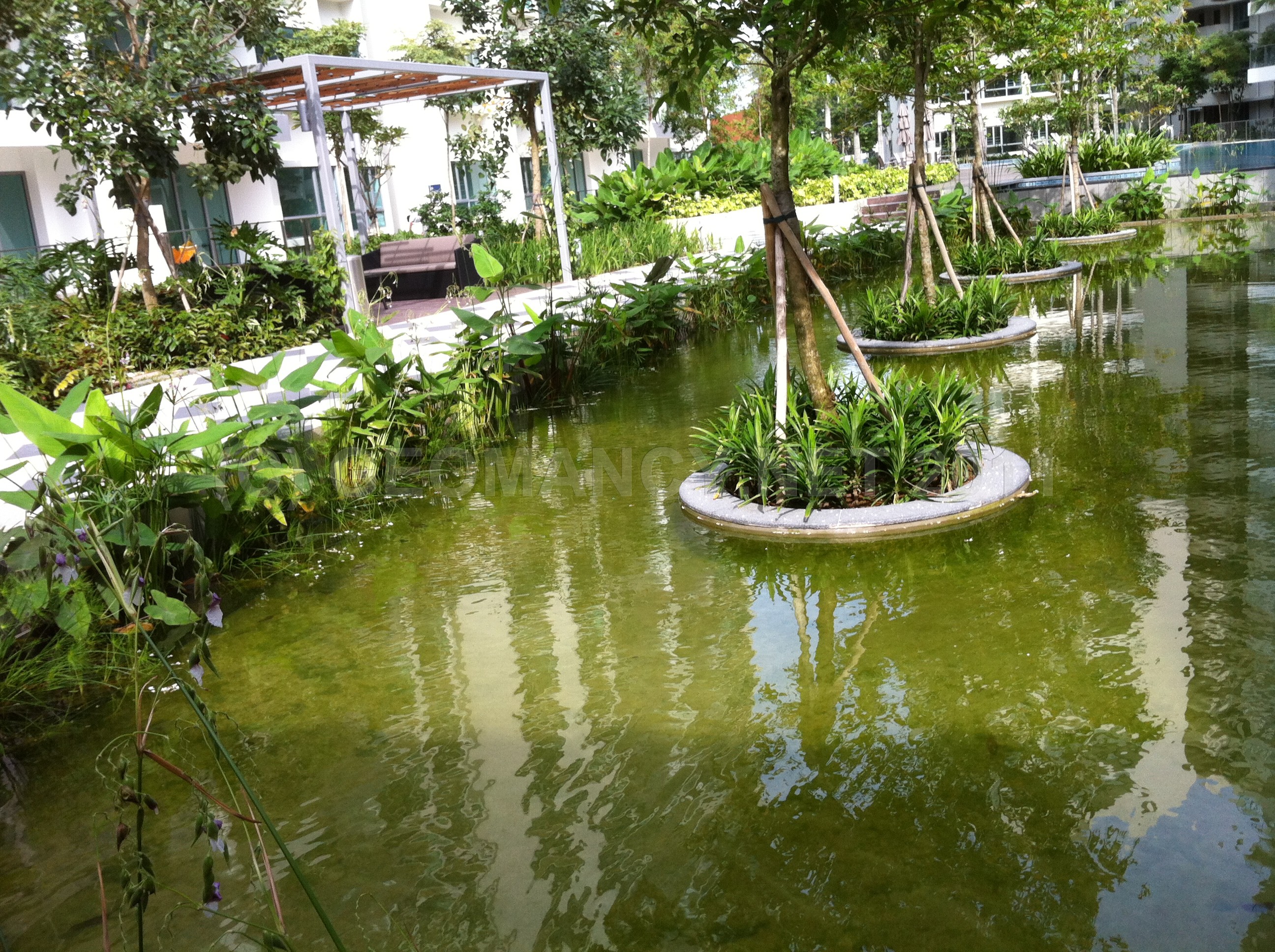 Ecopond at Waterfront Waves.... Around Singapore