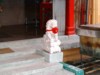 Chinese temple: white lion with a red ribbion